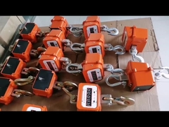 ৩০০০ কেজি ডিজিটাল হ্যাংিং ক্রেন স্কেল